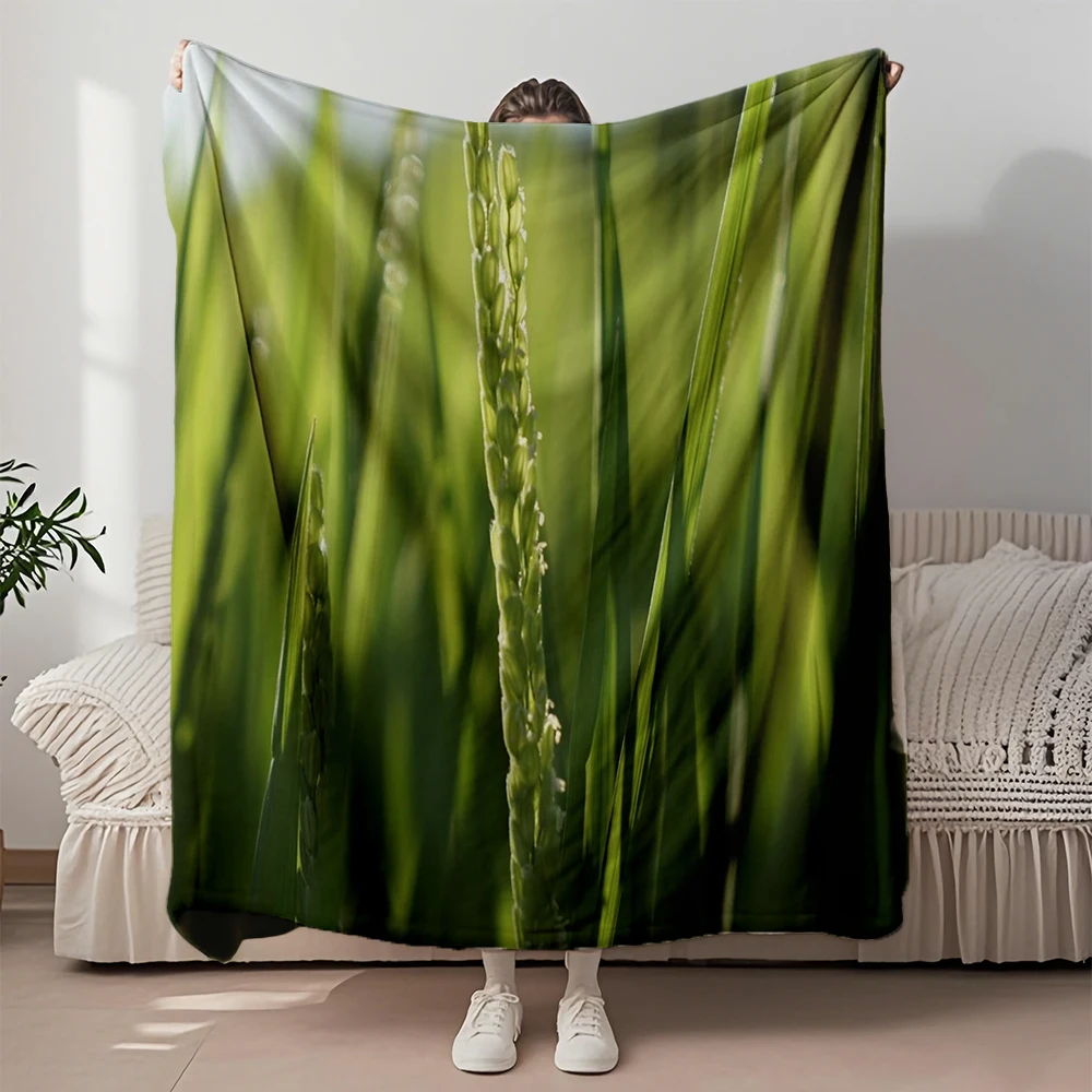 

Transitional Seasons Rustic Flannel Soft Blanket Green Ear Of Rice Luxury Throw Premium Bedding Moisture-wicking Blankets