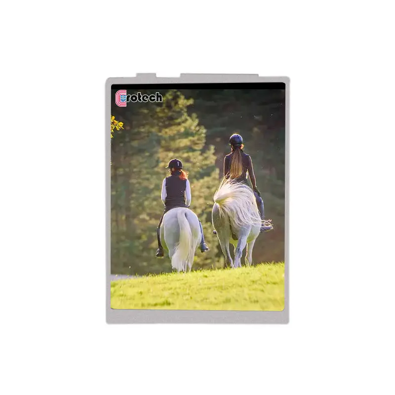 Brand New LQ042Q1DW40P 4.2 Inch Screen Resolution 320x320 RGB Interface LCD Full Viewing Angle Vertical Bars For Portable Device