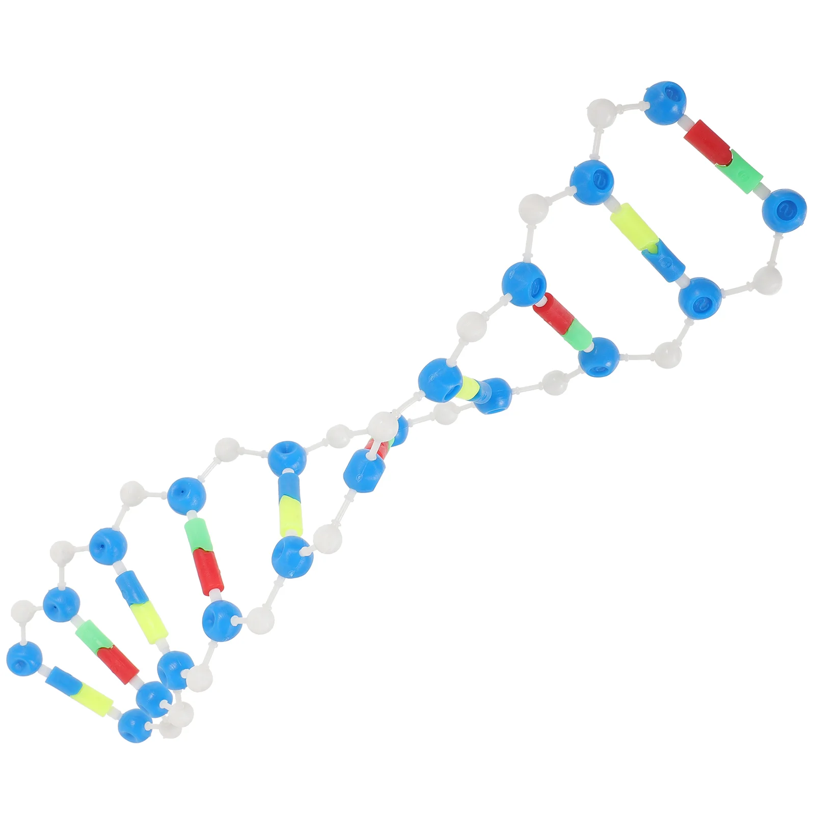 Stem Science Kits Dna Double Helix Model Components Biology Teaching Instrument Self-assembling Plastic Educational