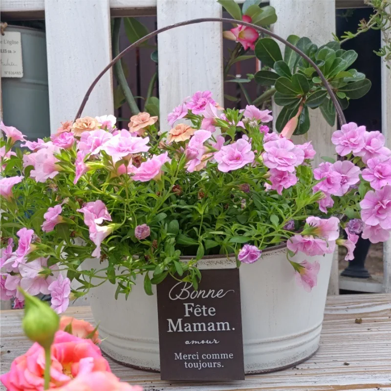 

Вилла во дворе настольная портативная железная тарелка овальный цветочный горшок B & B балконный железный набор горшок