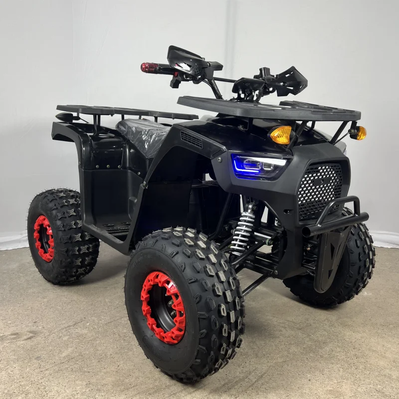 New Electric ATV Quad Bike 4 Wheeler Automatic 2WD 75-100Km/h