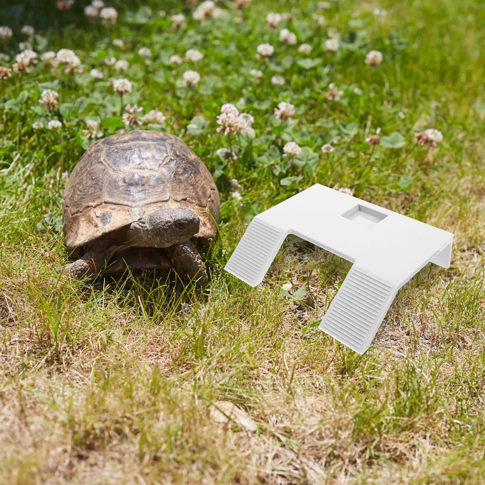 Tartaruga Escalada Basking Platform for Aquatic Turtle Tank, Rampa Flutuante para Aquático