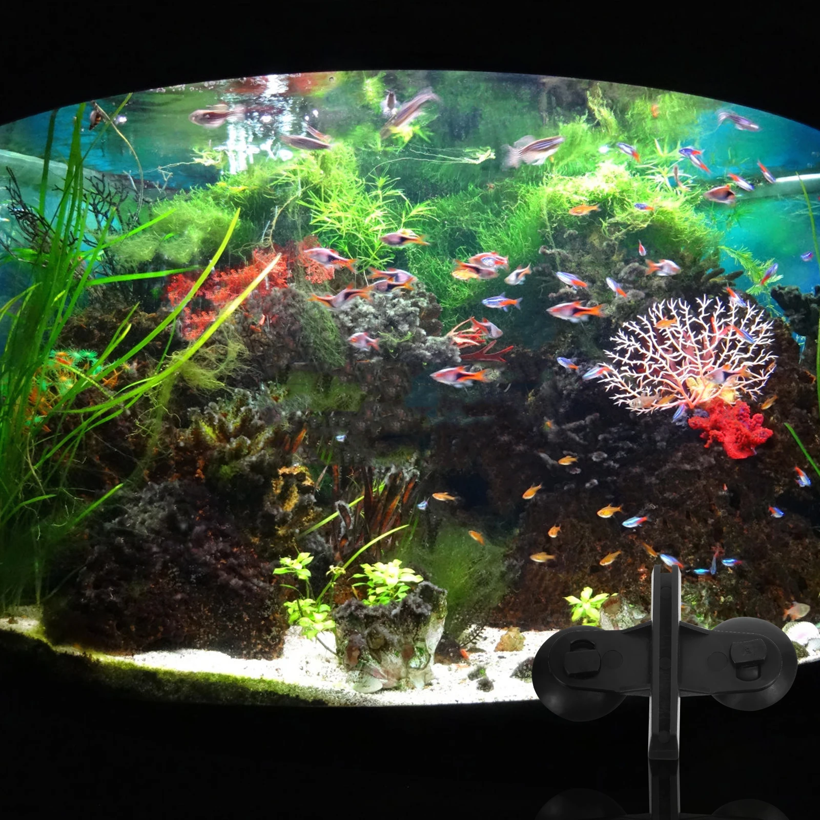 

5 Pcs Glass Clip Suction Cup Fish Tank Accessory Clear Aquarium Cups Water Divider Abs Holders