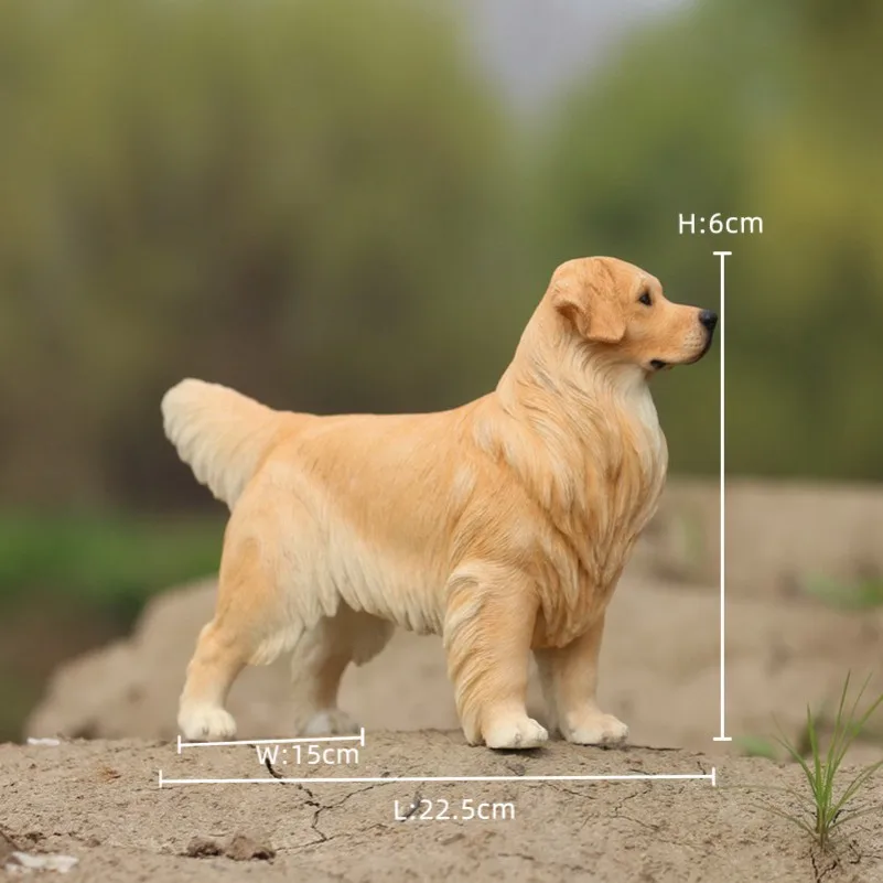 1/6 Golden Retriever Model, Simulated Puppy Animal Resin Peripheral Statue Ornament Figure Doll Toy
