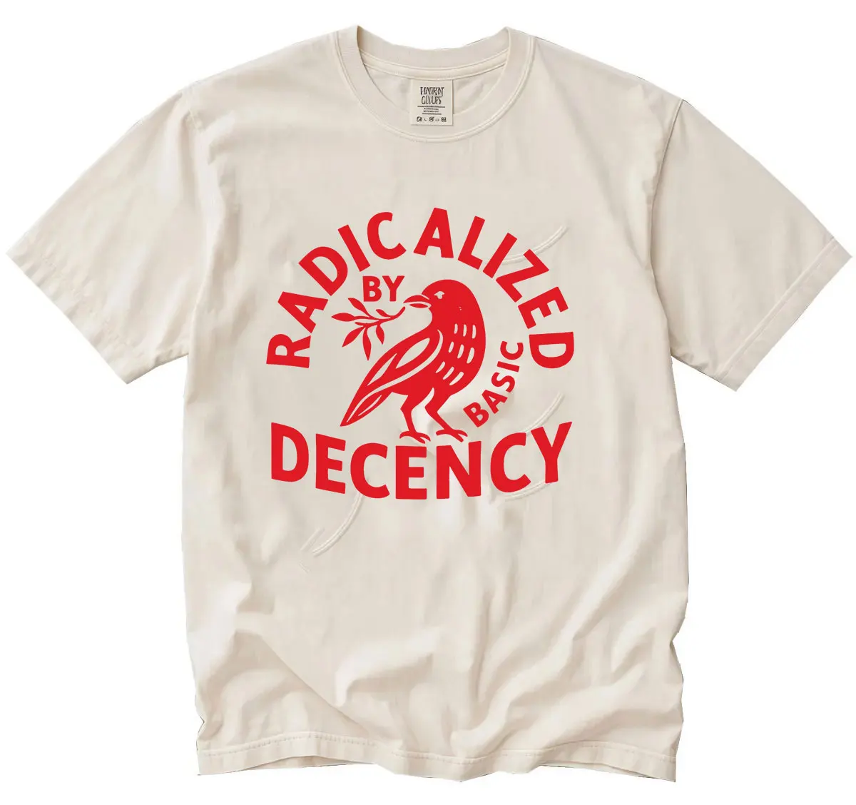 Radicalized By Basic Decency Funny Meme T Shirt Men Women Vintage High Quality Fashion T-shirts Summer Cotton Oversized T-shirt