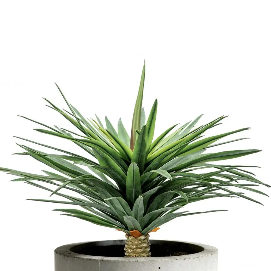 

Искусственное растение агава, 24 дюйма, УФ-стойкое, имитация суккулента, для улицы, патио и сада, реалистичное, среднего размера, без горшка