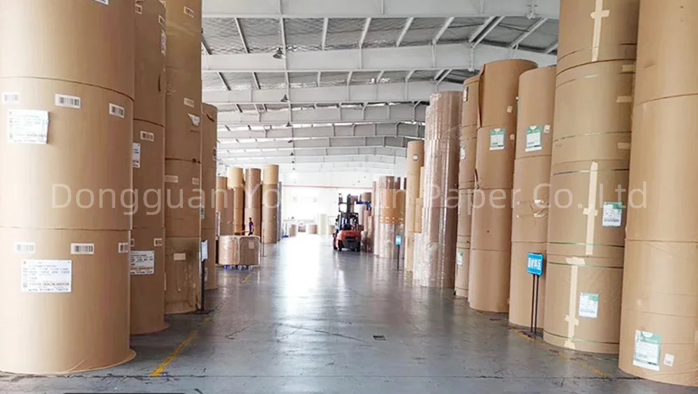 Recycled 250gsm One Side White Top Coated Test Liner Paper Kraft Paper