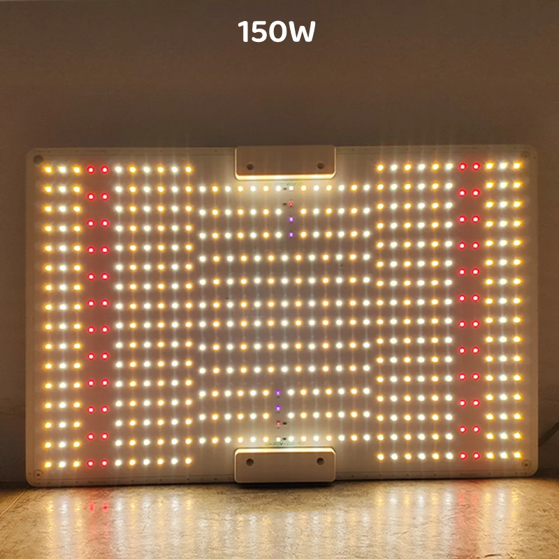 Full Spectrum LED Grow Light Panel, lâmpada quântica para plantas de interior, estufa, flores, mudas, tomada de fábrica, 100W