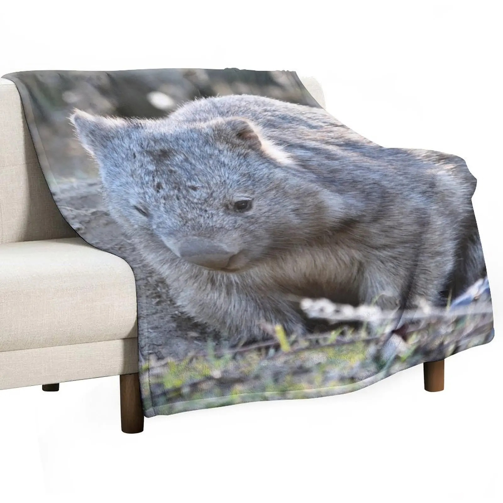 Wombat in the sun Throw Blanket Blankets For Sofas Bed covers Quilt Hairy Blankets