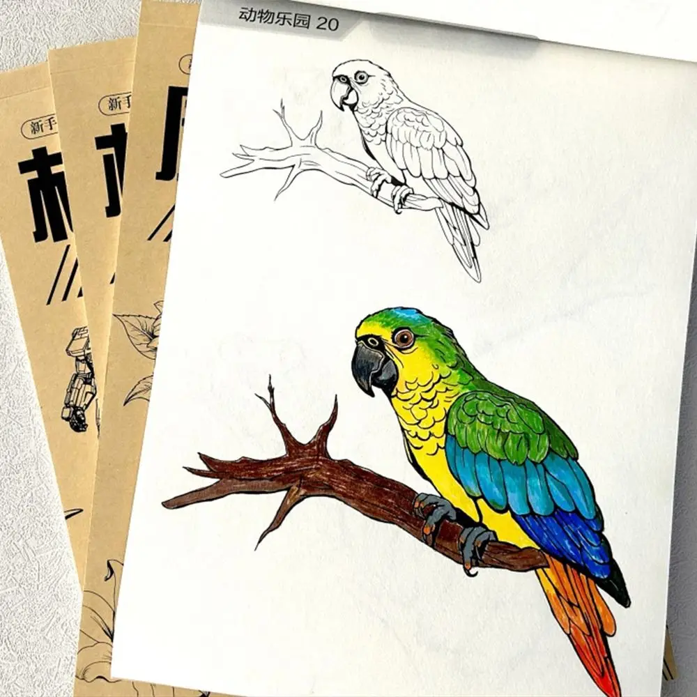 Cartoon Novice Hand Drawn Tutorial Zero Basic Studying Line Draft Book Tracing Sketch Drawing Copy Book Student