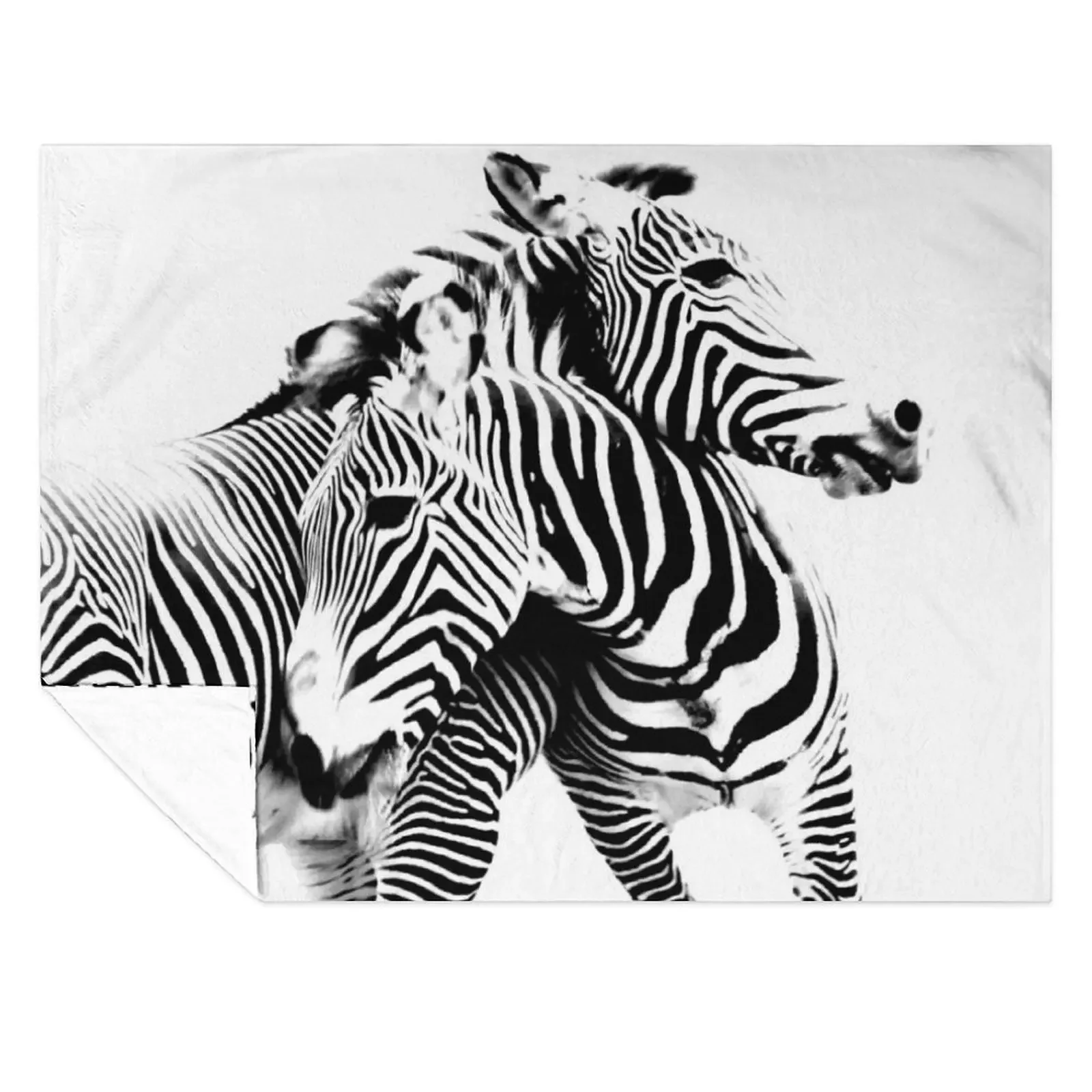 

Grevy's Zebras Throw Blanket Decorative Beds Sleeping Bag Winter beds sofa bed Blankets