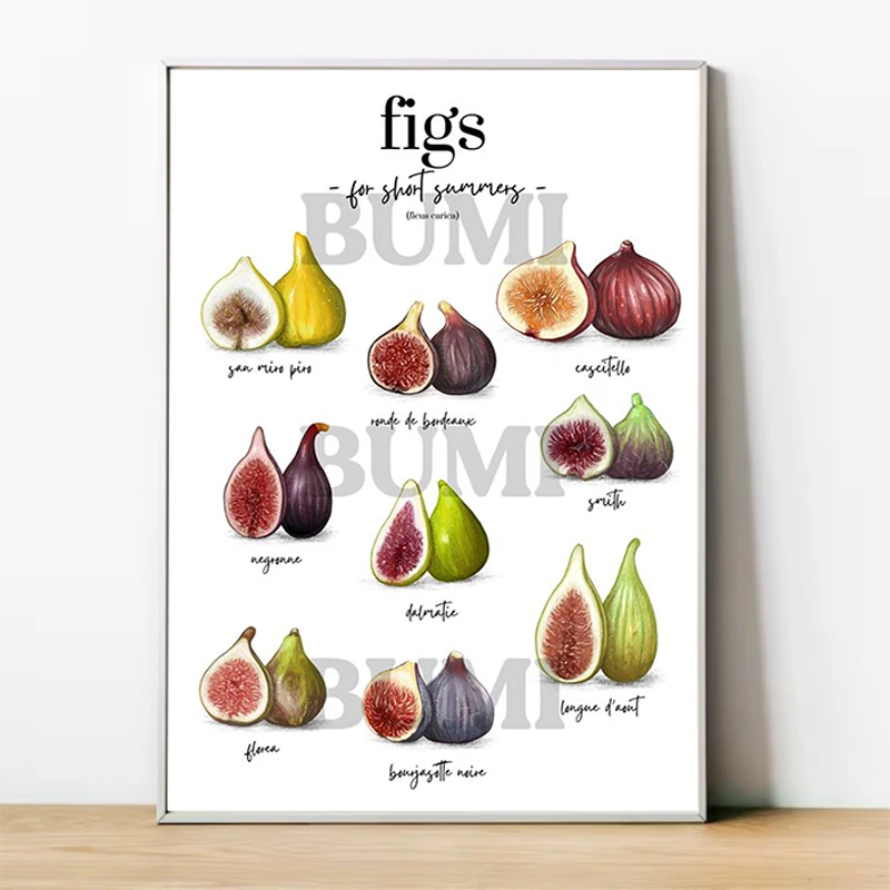

Fruits Figs Poster Decorative Prints Wall Painting on Canvas Wall Art Decor for Room Bedroom Decoration Home Decorations Posters