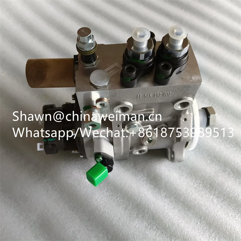 Weichai Diesel Engine Parts 1000161361 Fuel Injection Pump WPCPN2 612640080015 4110002989043 for Sale