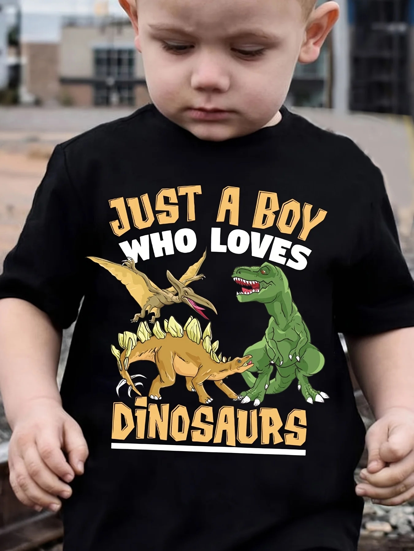 

A cute summer boy's fashion T shirt with a dinosaur print saying ust A Boy Who Loves Dinosaurs a casual top for children