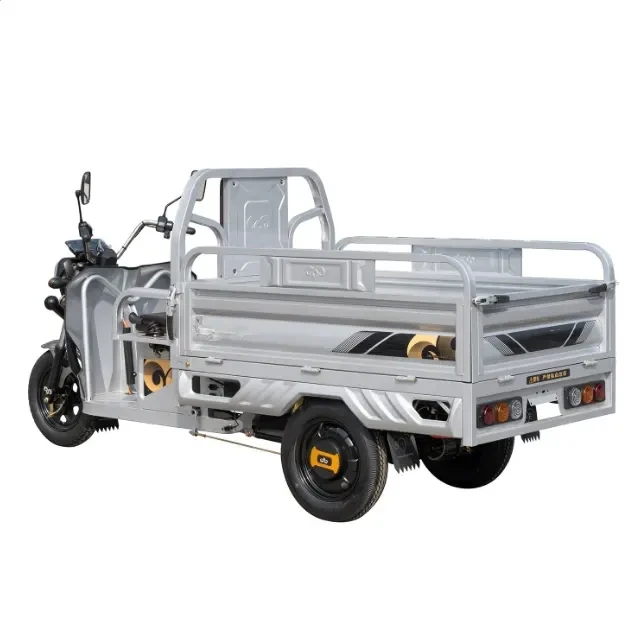 2023 Hot Selling Low Price and High Quality Electric Tricycles 3 Wheeled Motorized Tricycles Electric Cargo Tricycle