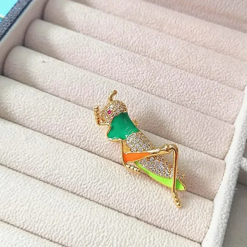 Fashion Goth Design Animal Brooch, Cute Carton Personality Jewelry, Handdraw Grasshopper Pin for Suit Accessory Y2k Accessories