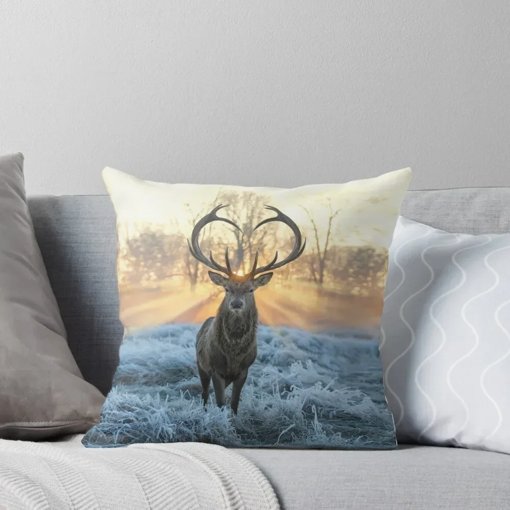 Valentines Stag, Love you deer with Heart antlers Throw Pillow Pillows Aesthetic Decorative Sofa Cushions Pillow