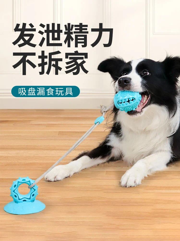 

Dog toy suction cup, resistant to grinding teeth, relieving boredom, self-hiking artifact, side herding, energy consumption, pup