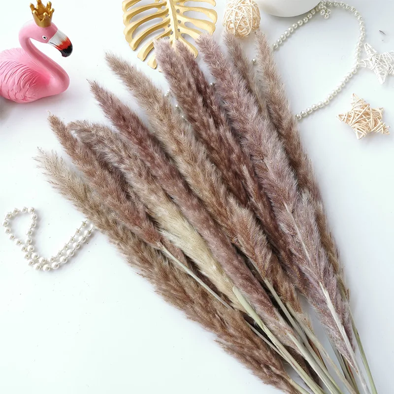 15Pcs/Lot Natural Dried Flower Dry Flowers Of Real Plants Small Pampas Grass Primary Color，White flore Wedding Home Decor Reed G