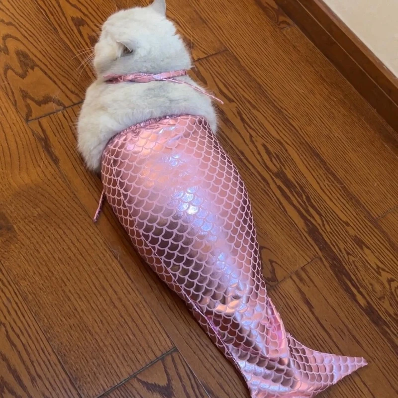 

Mermaid tail decoration creative cat small and medium pet clothing fish tail one-piece