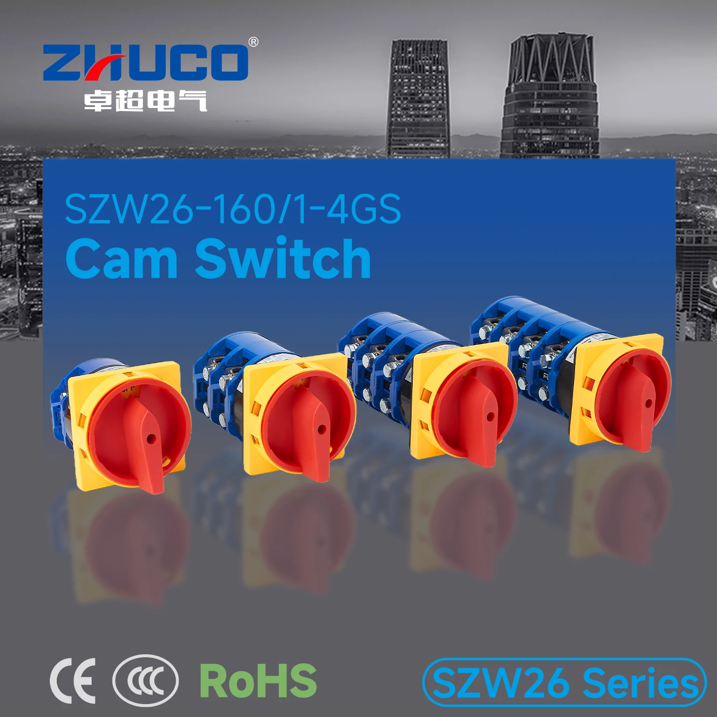 Szw26-160/1-4 Section Gs Series Off-On Two-Position Power Cut-Off Switch, Toggle Switch, Rotary Switch