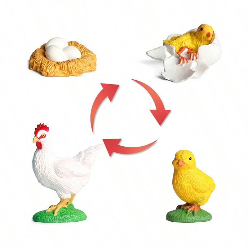 لغز تعليم الوالدين والطفل ، ألعاب نموذج بلاستيكي ، محاكاة دورة نمو الحيوانات ، نحل العسل ، السلاحف ، الفراشة ، الضفدع ، الخنفساء ، TMZ