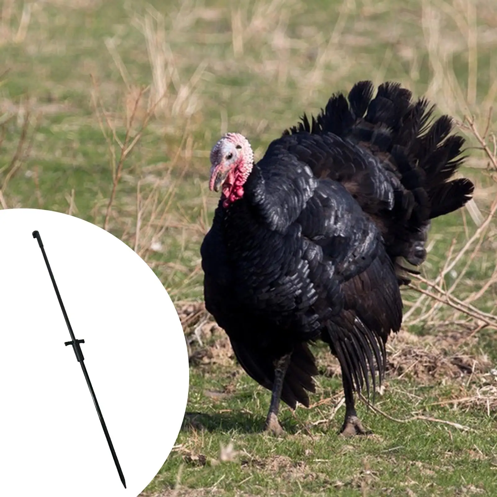 Turkey Decoy Stake …