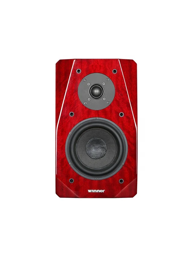 TD-9 High-End Hifi Flagship Bookshelf Speaker 24K Gilding Terminal LCR Divider Battery Operated Home Party Microphone