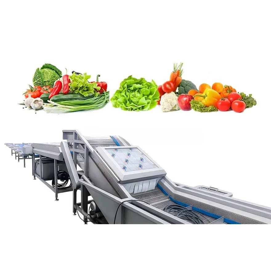 Vegetable Carrot Lettuce Celery Ozone Air Bubble Cleaning Dry All-in-one Drum Type Washing