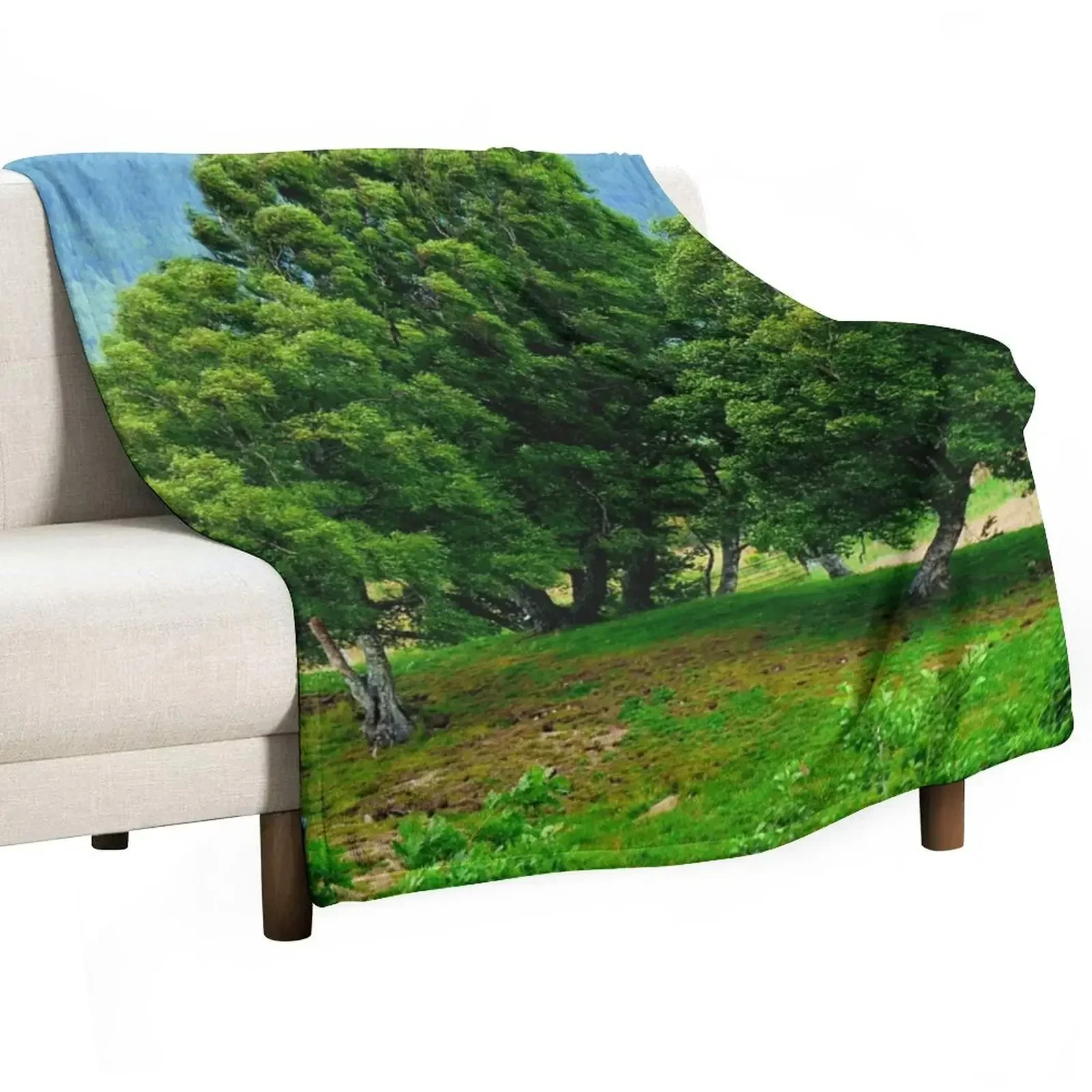 Birch Trees Friends Forever Throw Blanket christmas gifts bed plaid Blankets