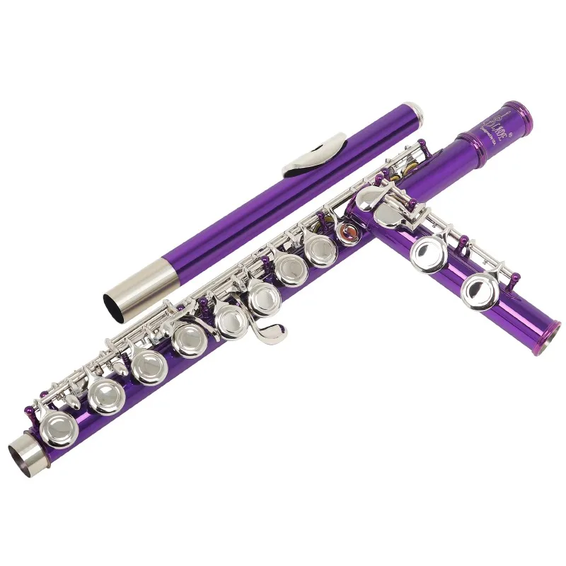 

C-tone multi-color 16-hole flute belt holster