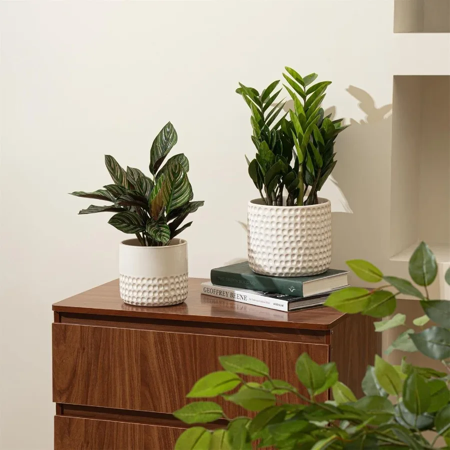 Fioriera in ceramica Vasi per piante da fiore 6,7 + 5,5 pollici Vaso da fiori a cilindro con motivo a punti concavi con foro di scarico per interni Set di 2 Avorio