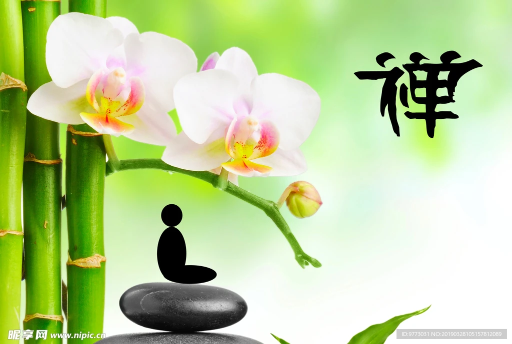 

Комплект алюминиевого корпуса трансмиссии RER11401 и алюминиевая крышка редуктора для Redcat GEN8 Scout II RER11332, модернизация для радиоуправляемого краулера 1/10