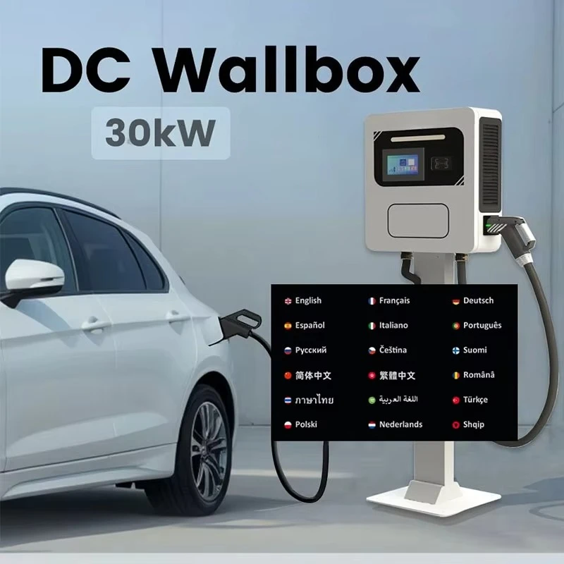 Risen DC Charger 20kW 30kW 40KW DC Wallbox Floor Stand Pile EV Charger OCPP CCS CHADEMO GBT EV Charging Station With Mobile APP