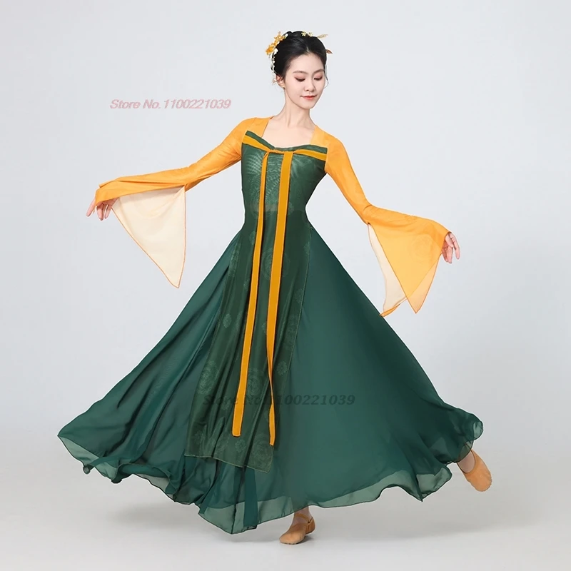 

2025 chinese vintage dance dress traditional flower print mesh ruqun tops+skirt set folk dress training stage performance dress