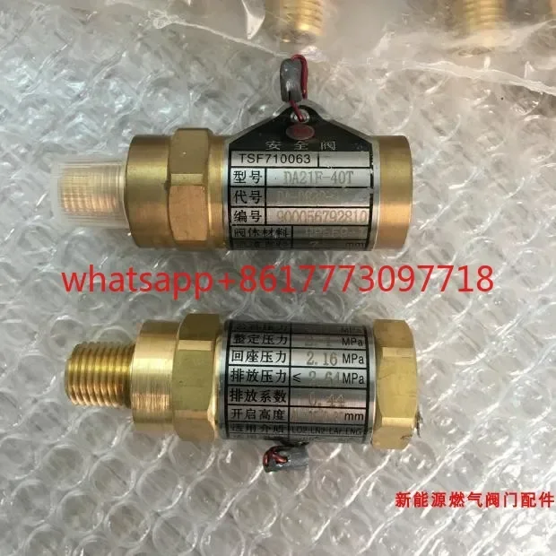 Low temperature pipeline safety valve LNG vehicle gas cylinder accessories DA21F-40T pressure relief valve wind