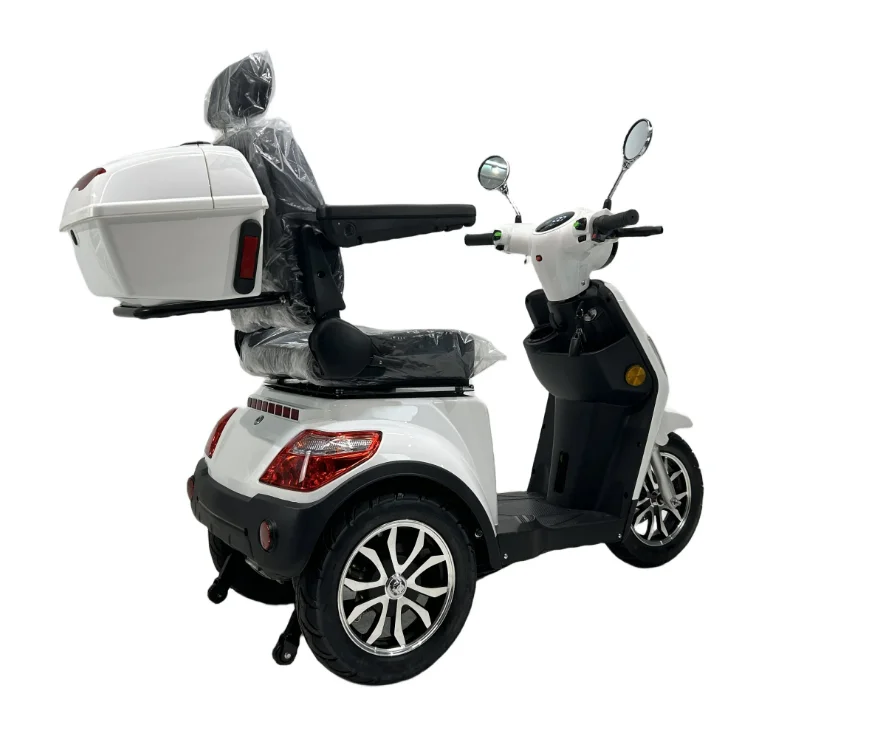 Modification Best Selling Model Gecko-L Moped Scooter 3 Wheels 1000W 25km/h  EU Street Legal Electric Bike Mobility E Scooter fo