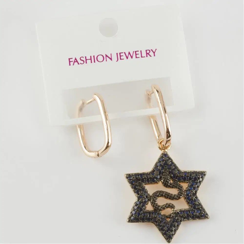 Snake & Star Figured Luxury Zircon Steel Earrings