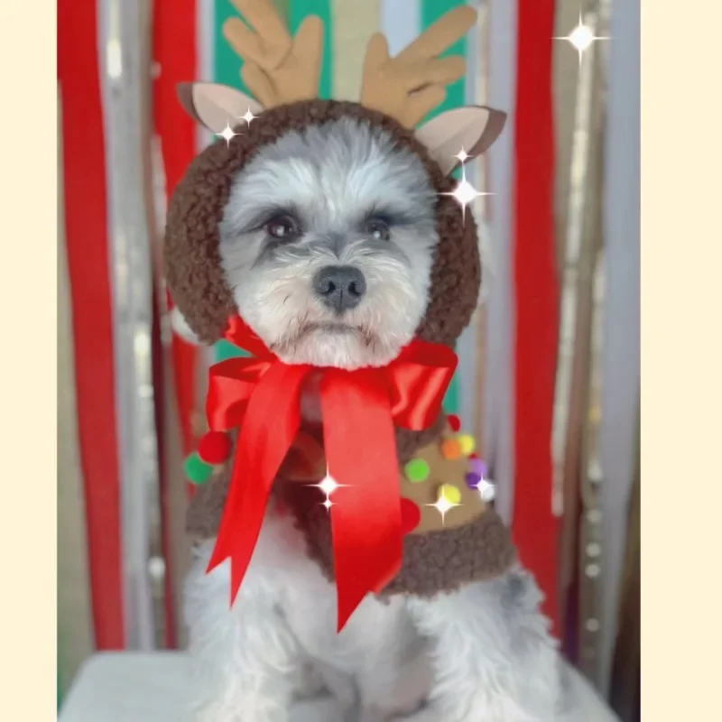 Dog Accessories Autumn/Winter Accessories Christmas Pet Shiba Inu Bichon Corgi Cape Hat