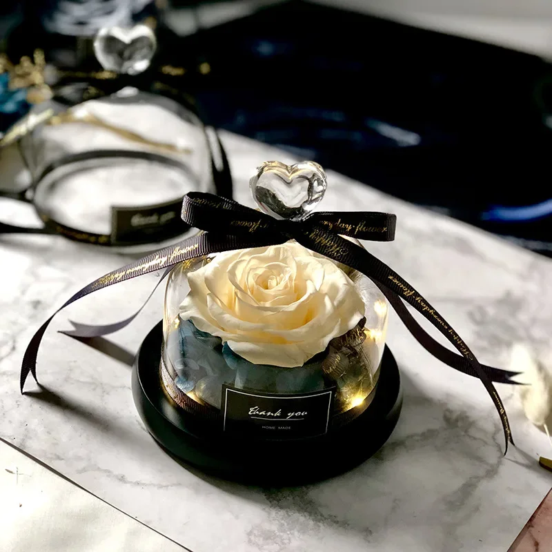 Beauty and the Beast Save Valentine\'s Day Gift Exclusive Glass Rose Dome Light Timeless Real Rose Mother\'s Day Gift