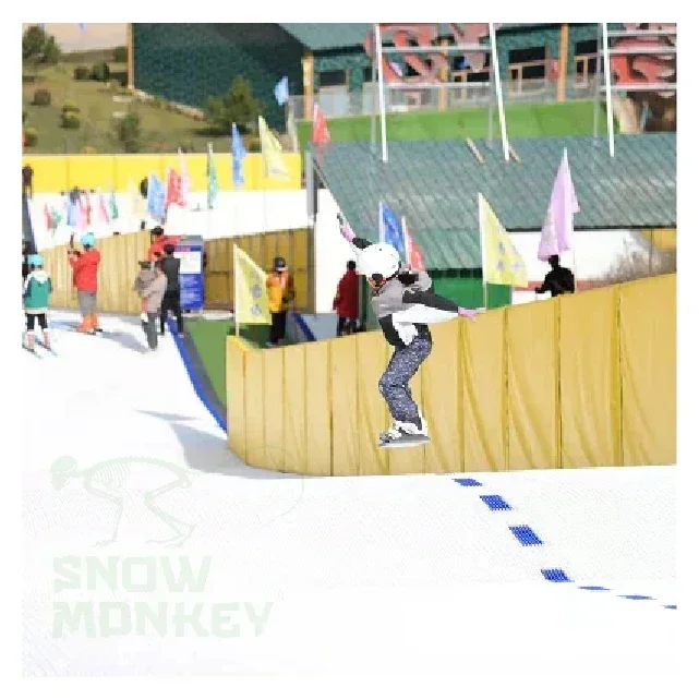 Dry Ski Mat for Sale Skiing Slope Dry Ski Slope Snow