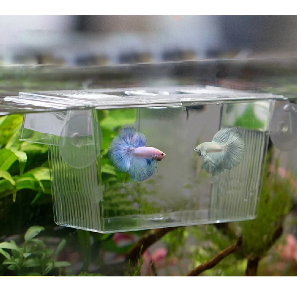 

Fish Breeding Box 12.6*7*7Cm Transparent Acrylic Self-Floating Aquarium Hatchery For Guppies Betta Spawning