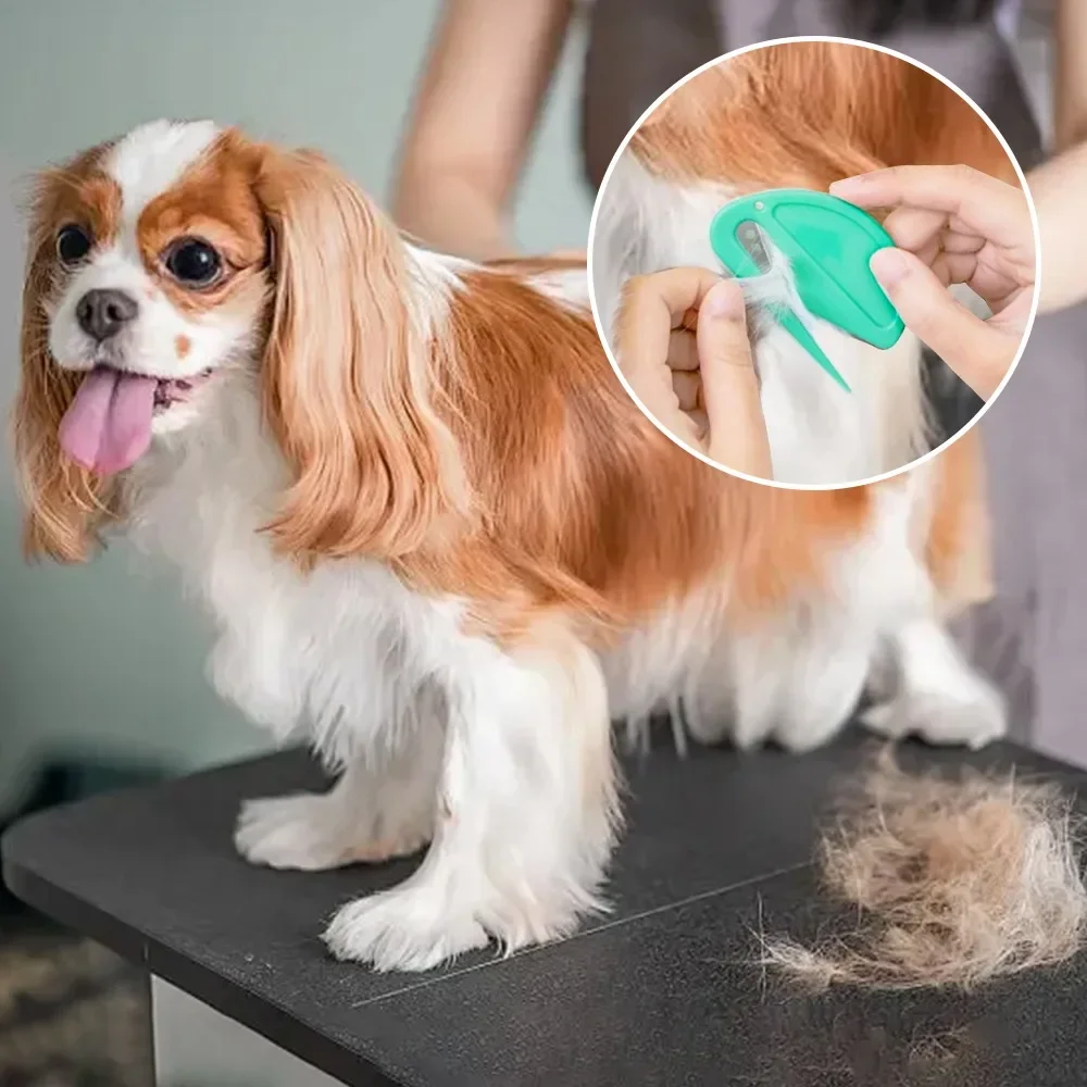 Neue Katze Hund Kamm Haustier offenen Knoten Kamm Katze Welpen Haar Fell Schuppen Pflege Trimmer Kamm Klinge Haustier Zubehör – Detail 7