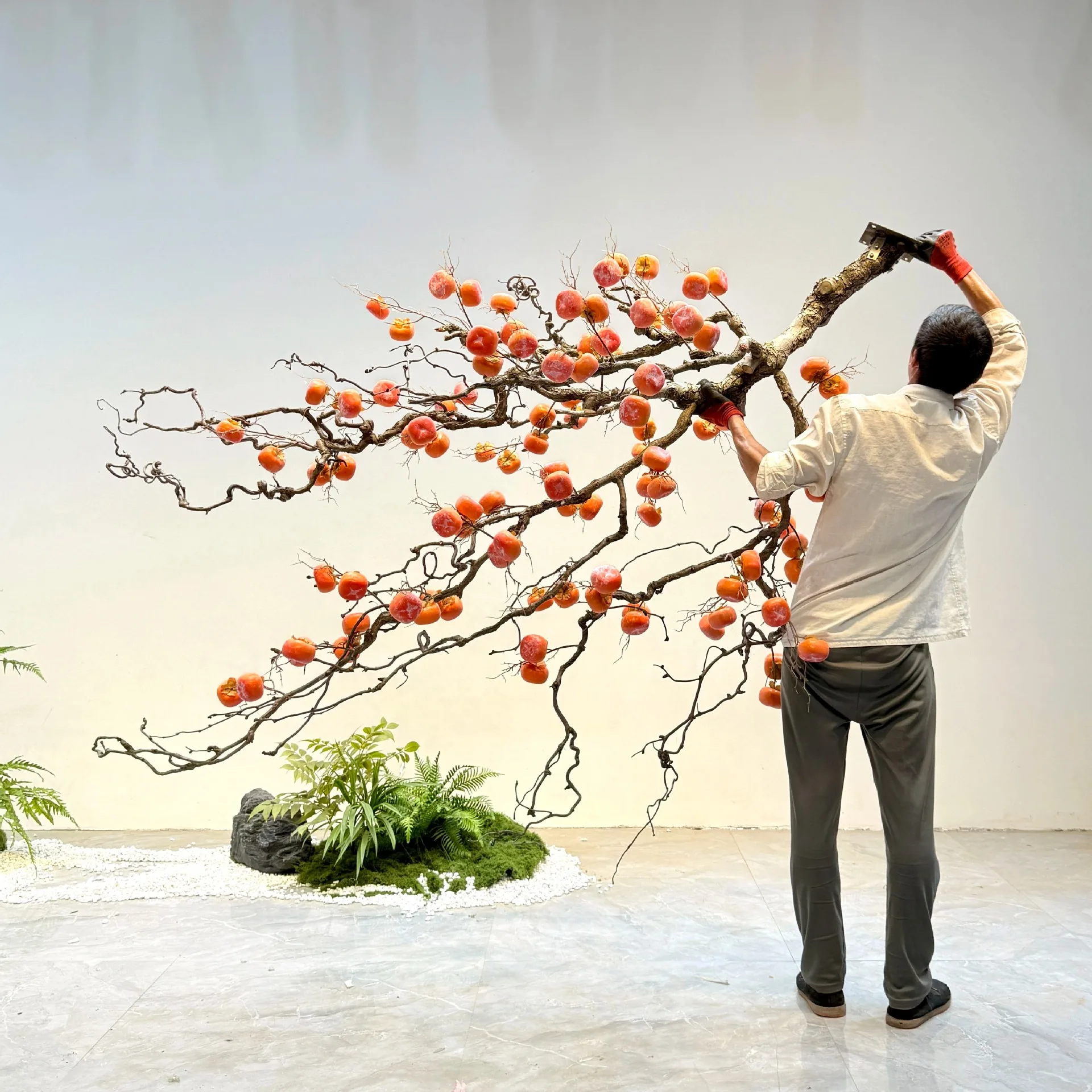 Bonsai Garden Wall - Simulated persimmon tree hanging dragon jujube