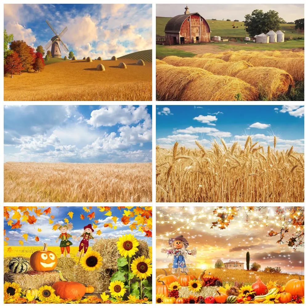 Wheat Field Backdrop for Photography Autumn Farm Golden Field Sky White Clouds Pumpkins Harvest Kids Birthday Photo Background