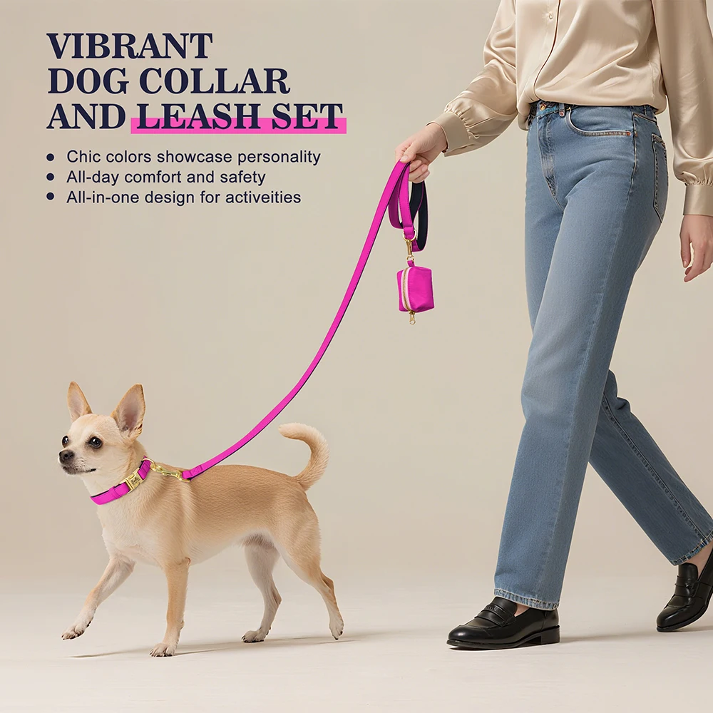 Personalized Dog Collar Leash - Pet Supplies Plus review and price