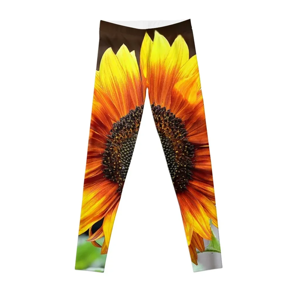 

Sunflower Leggings active wear Fitness clothing gym's clothing Womens Leggings