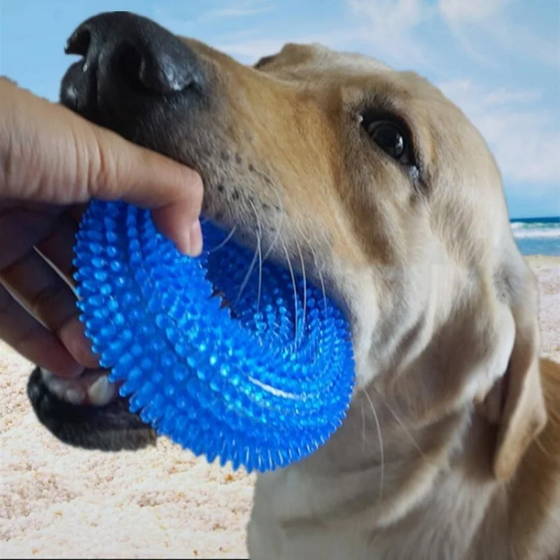 #32 Trending Puppy Toys Right Now