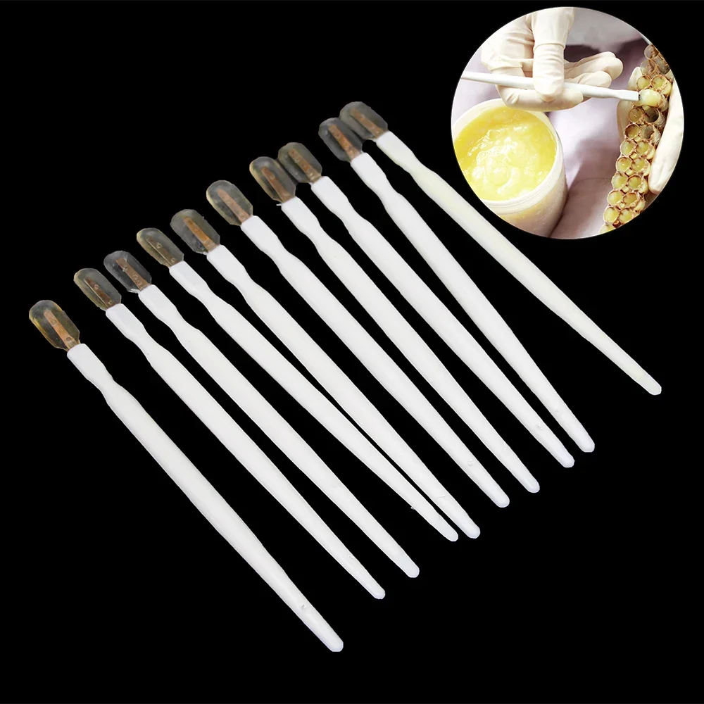 6PCS portable bee milk royal jelly scraper pulp take pen plastic white bee tools transfer tools beekeeping equipment supplies