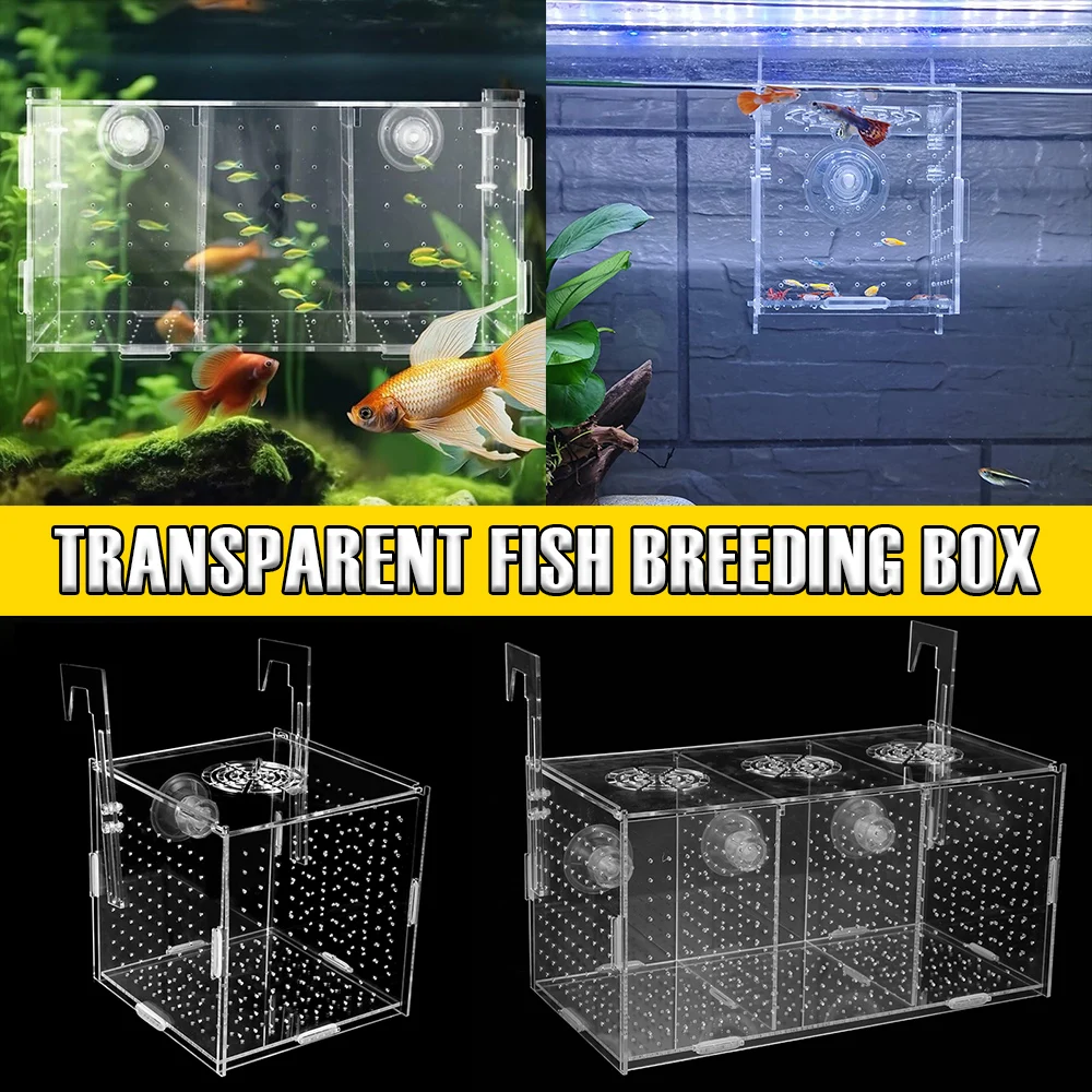 Transparent Fish Breeding Box Acrylic Fish Isolation Hatchery 3 Grids Aquarium Fish Incubator Box with Suction Cups and Hooks